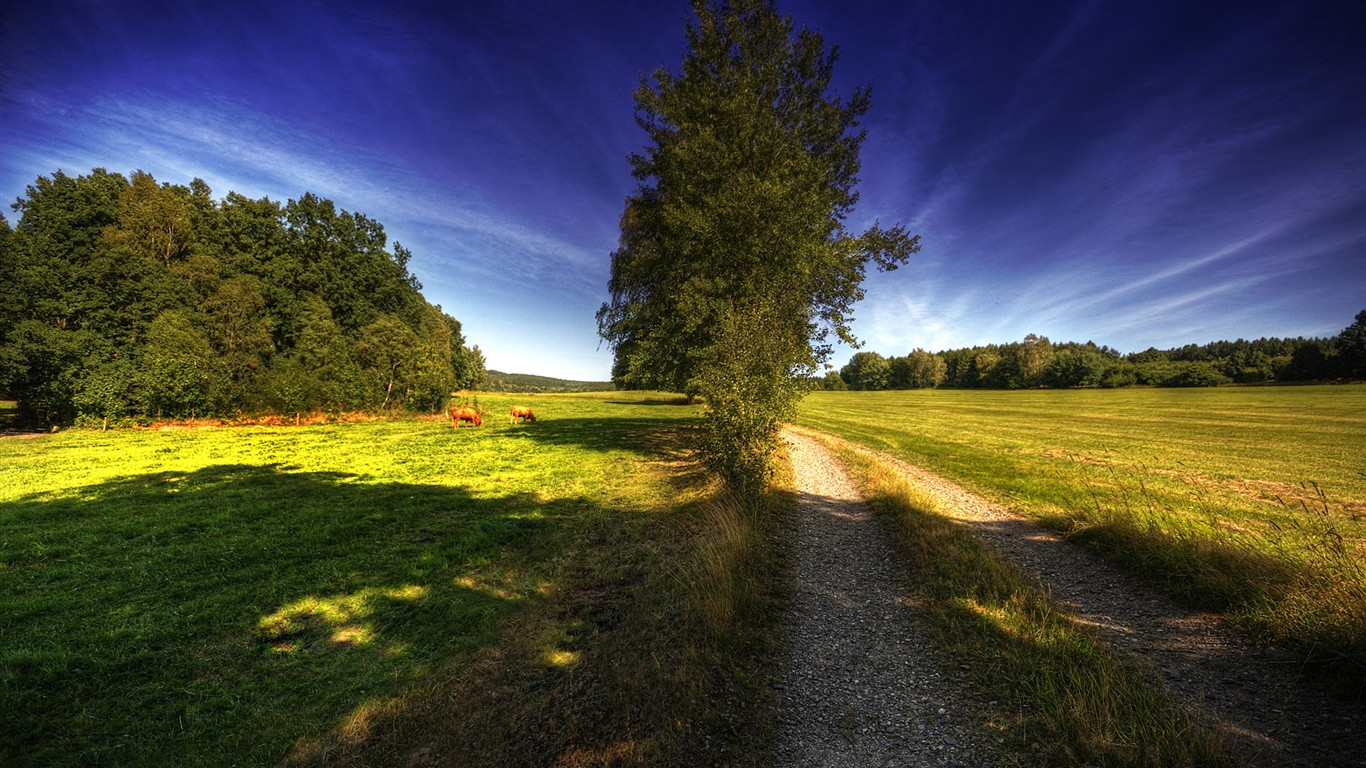 Representación de paisajes Fondos de pantalla HD #31 - 1366x768