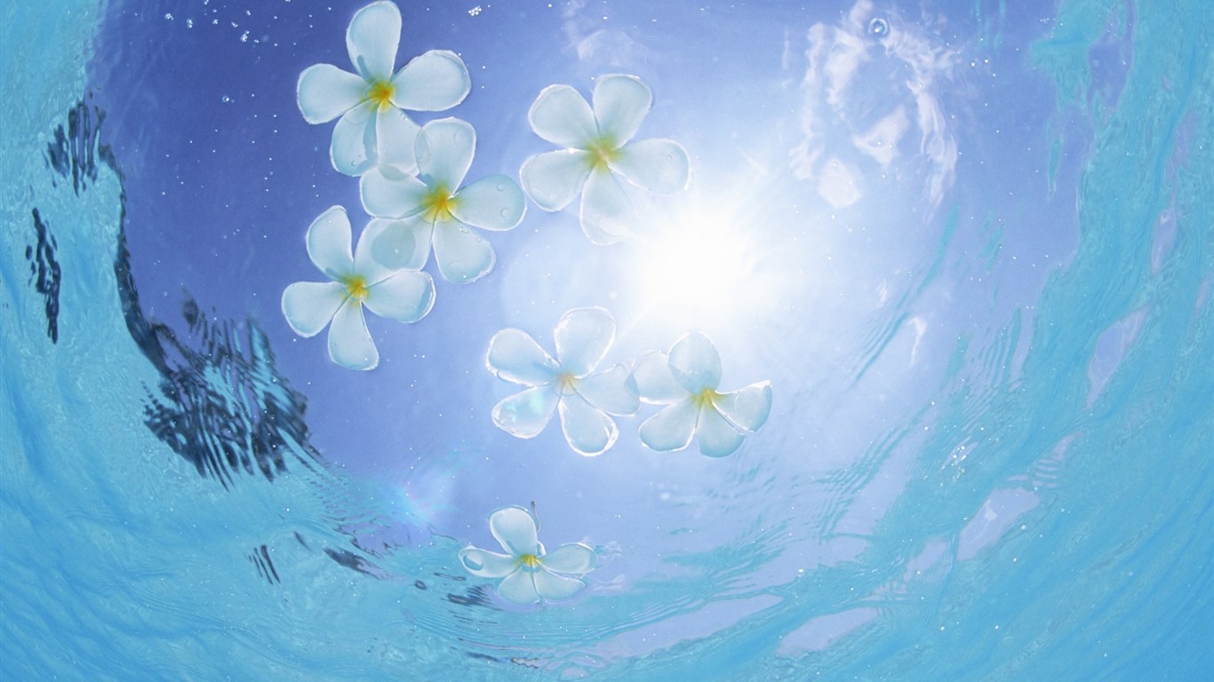 몰디브 물과 푸른 하늘 #10 - 1366x768
