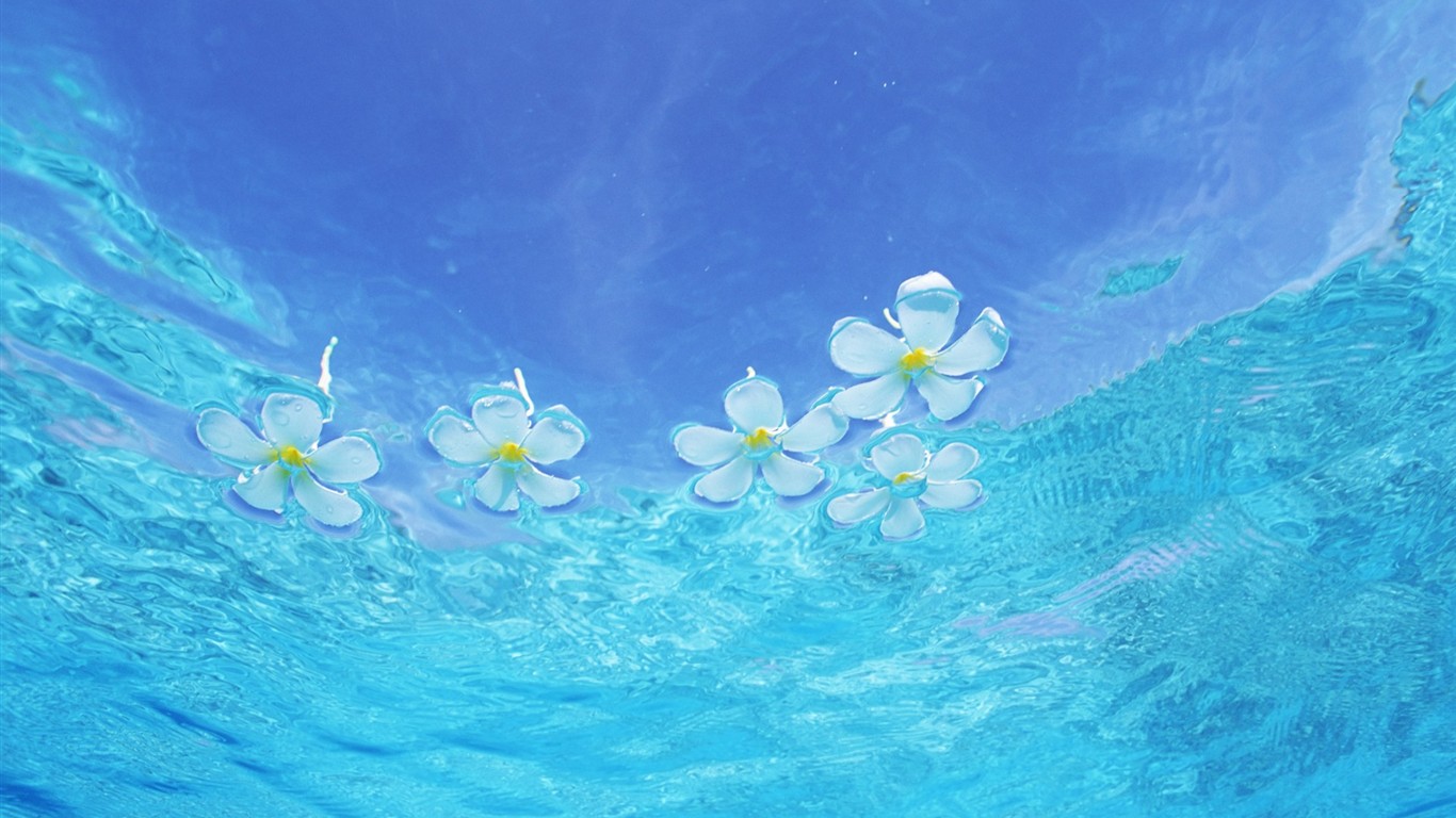 馬爾代夫的水和天 #11 - 1366x768