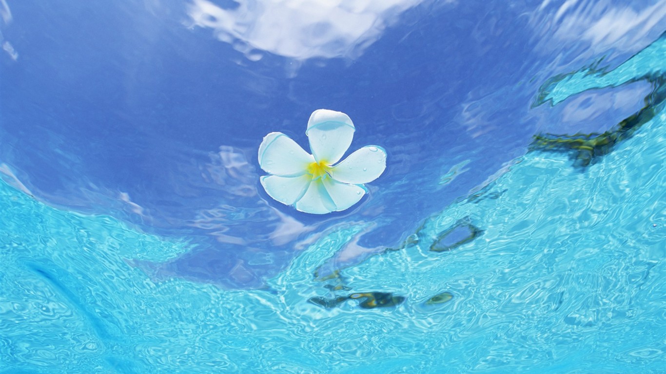 ciel bleu de l'eau aux Maldives et #12 - 1366x768
