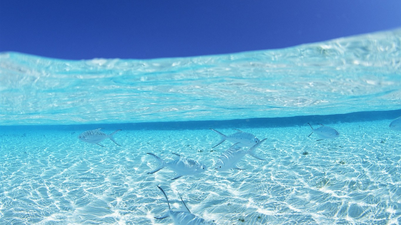 ciel bleu de l'eau aux Maldives et #23 - 1366x768
