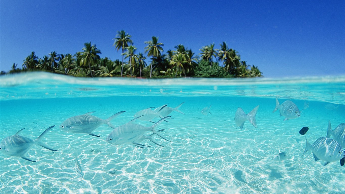 Maldivas agua y el cielo azul #24 - 1366x768