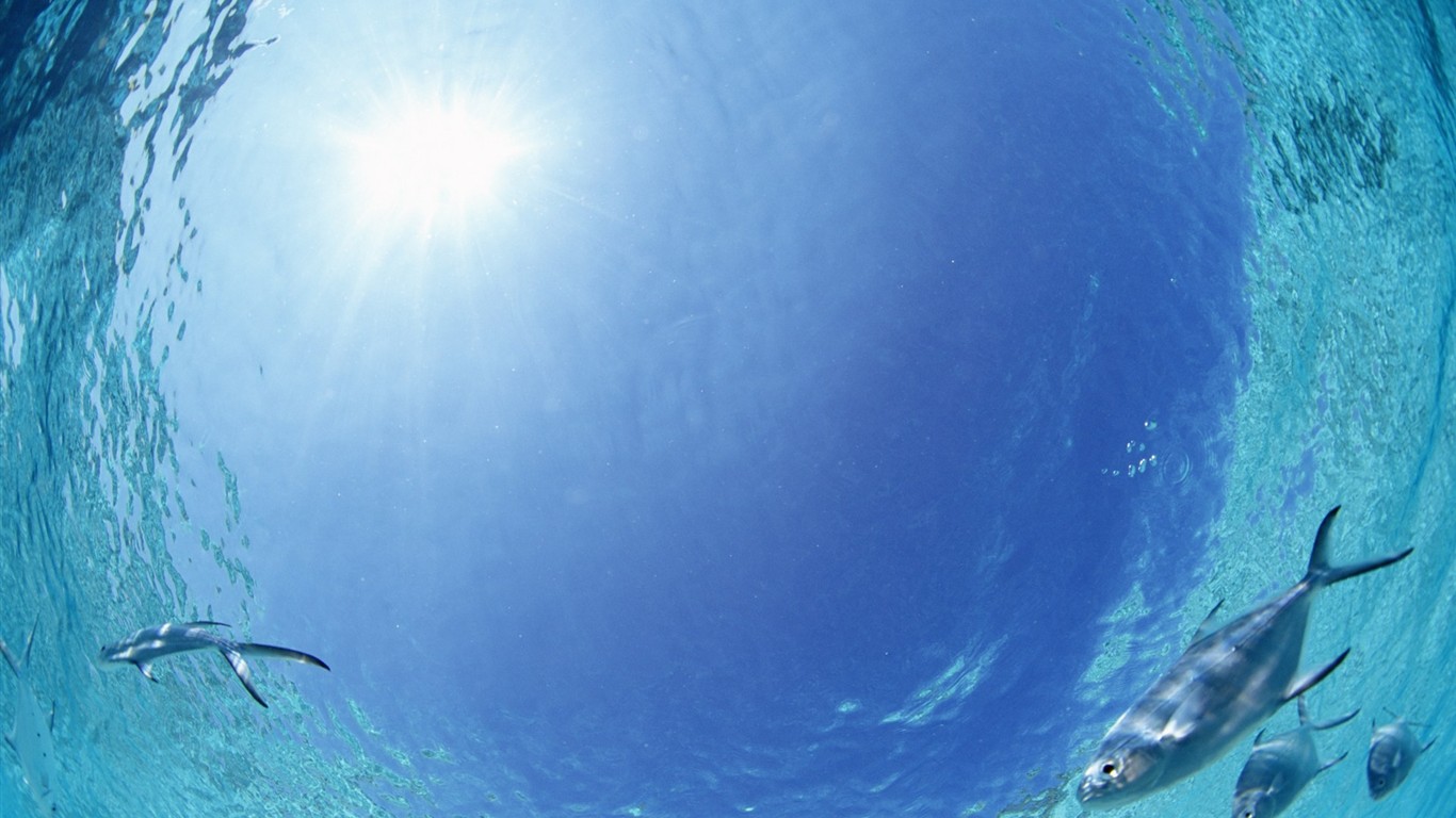 ciel bleu de l'eau aux Maldives et #28 - 1366x768