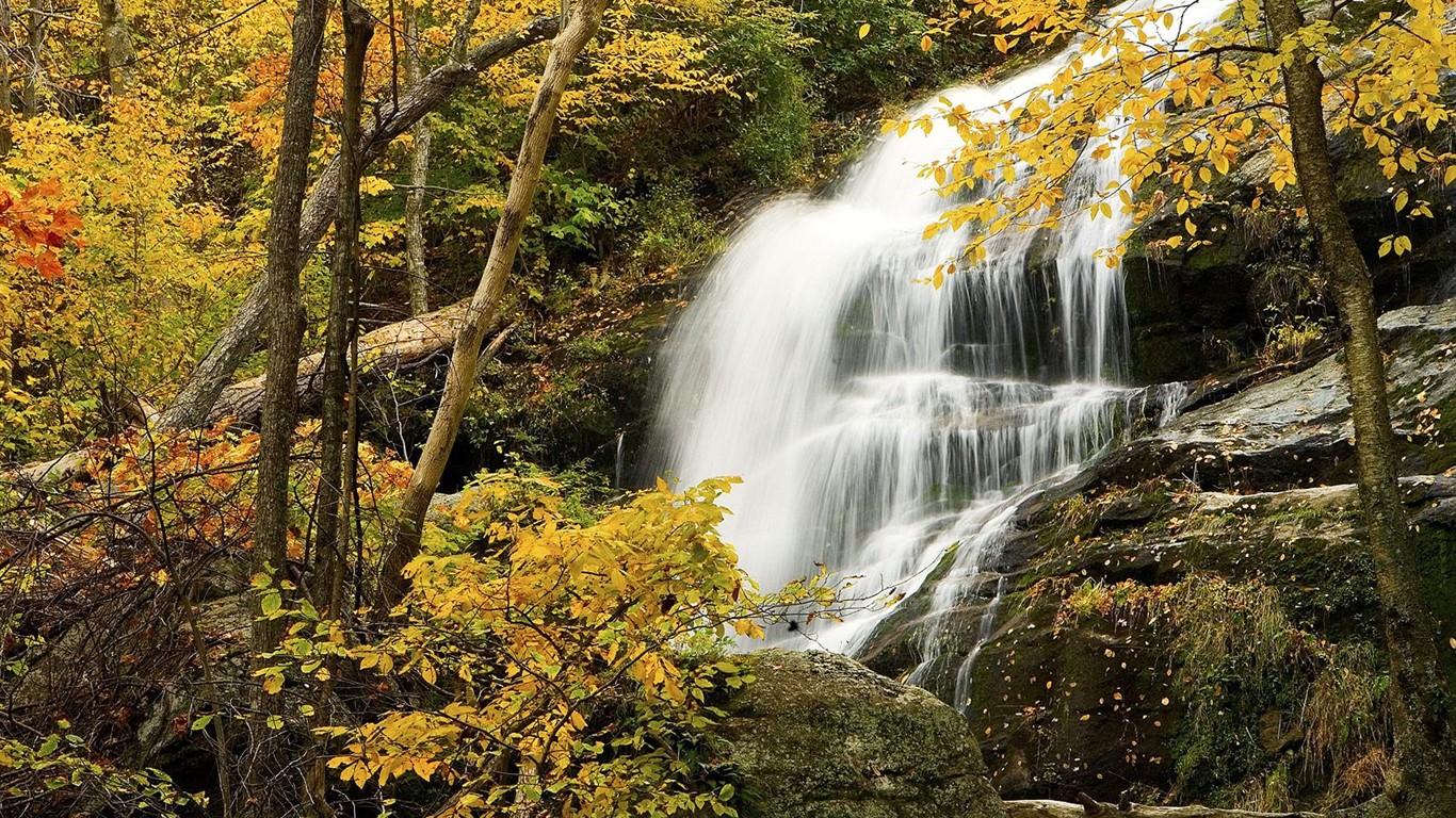 自然の風景(8)ハイライト #5 - 1366x768