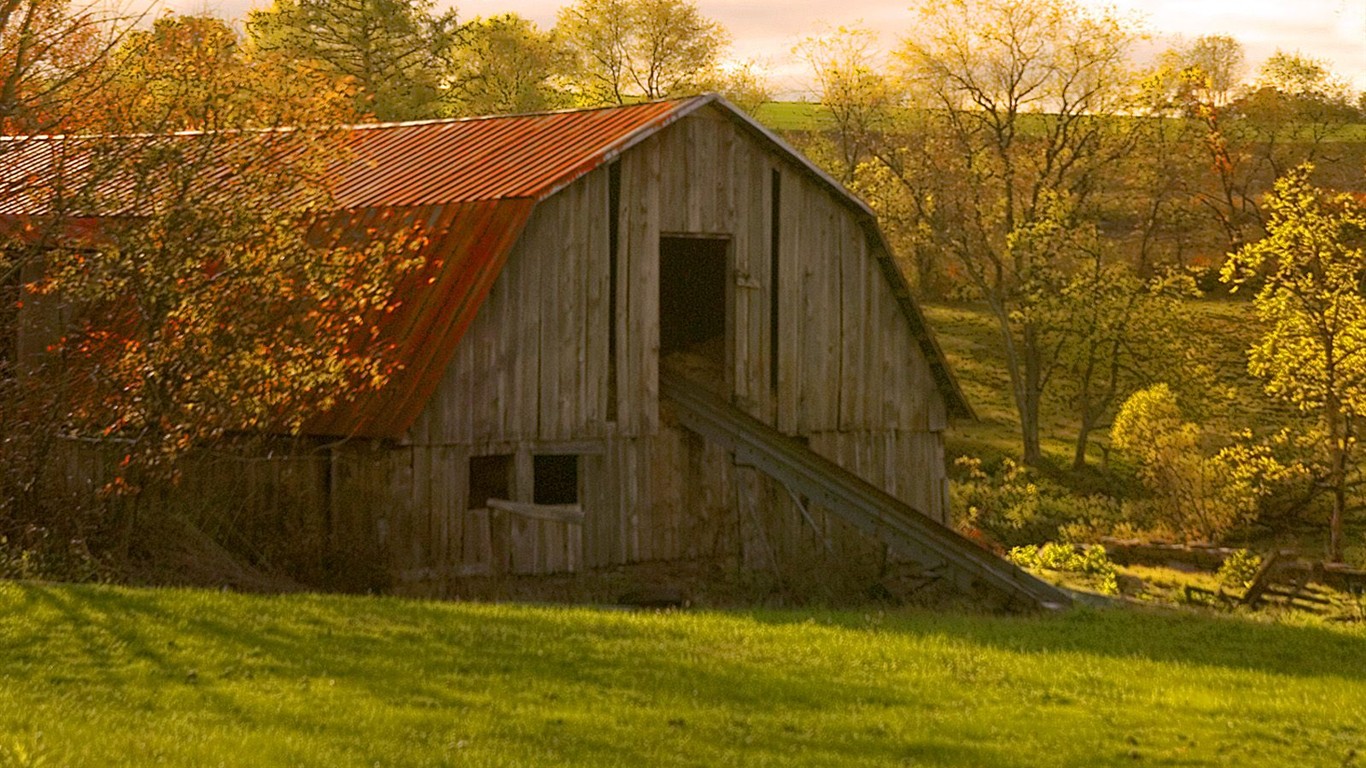 Fond d'écran épais décor de l'automne #1 - 1366x768