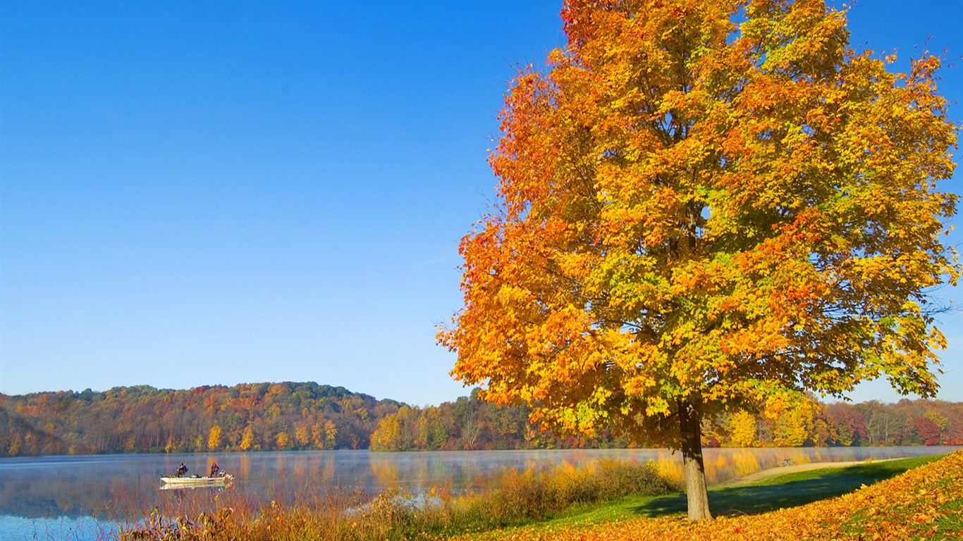 厚の秋の風景の壁紙 #3 - 1366x768