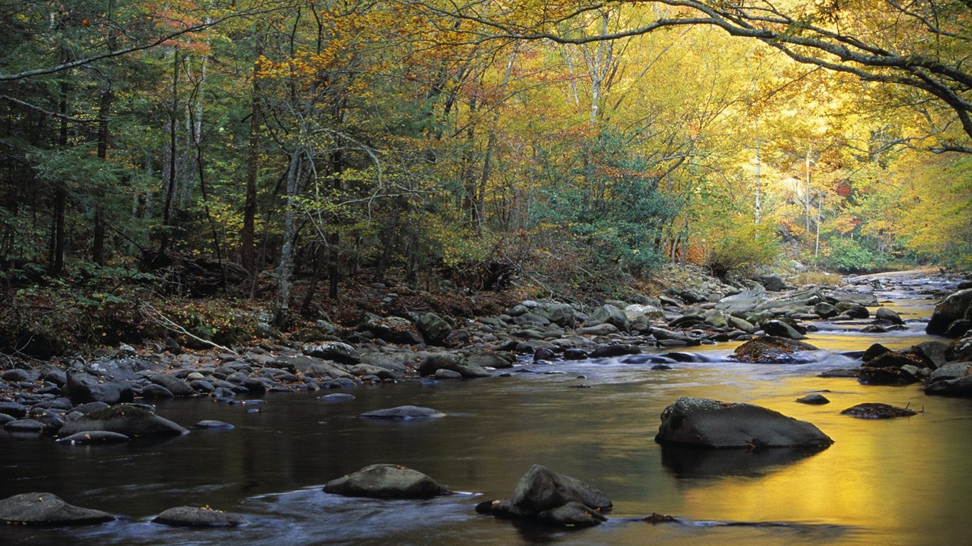 Thick autumn scenery wallpaper #9 - 1366x768