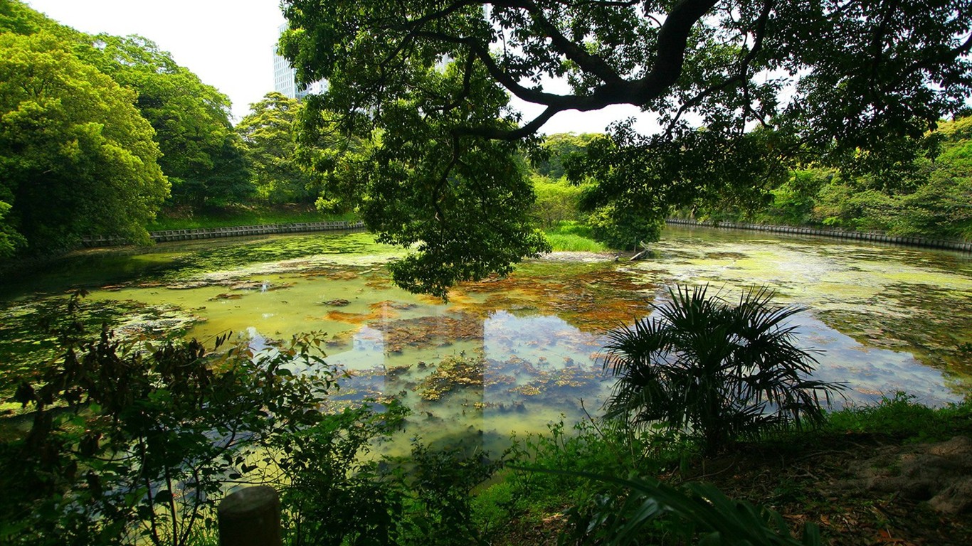 宁静庭园 公园美景壁纸2 - 1366x768