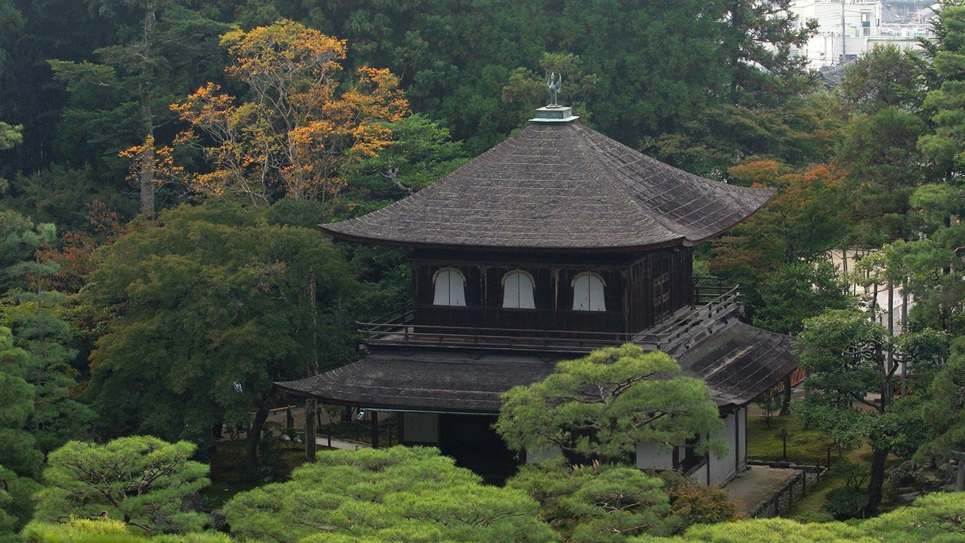 宁静庭园 公园美景壁纸5 - 1366x768