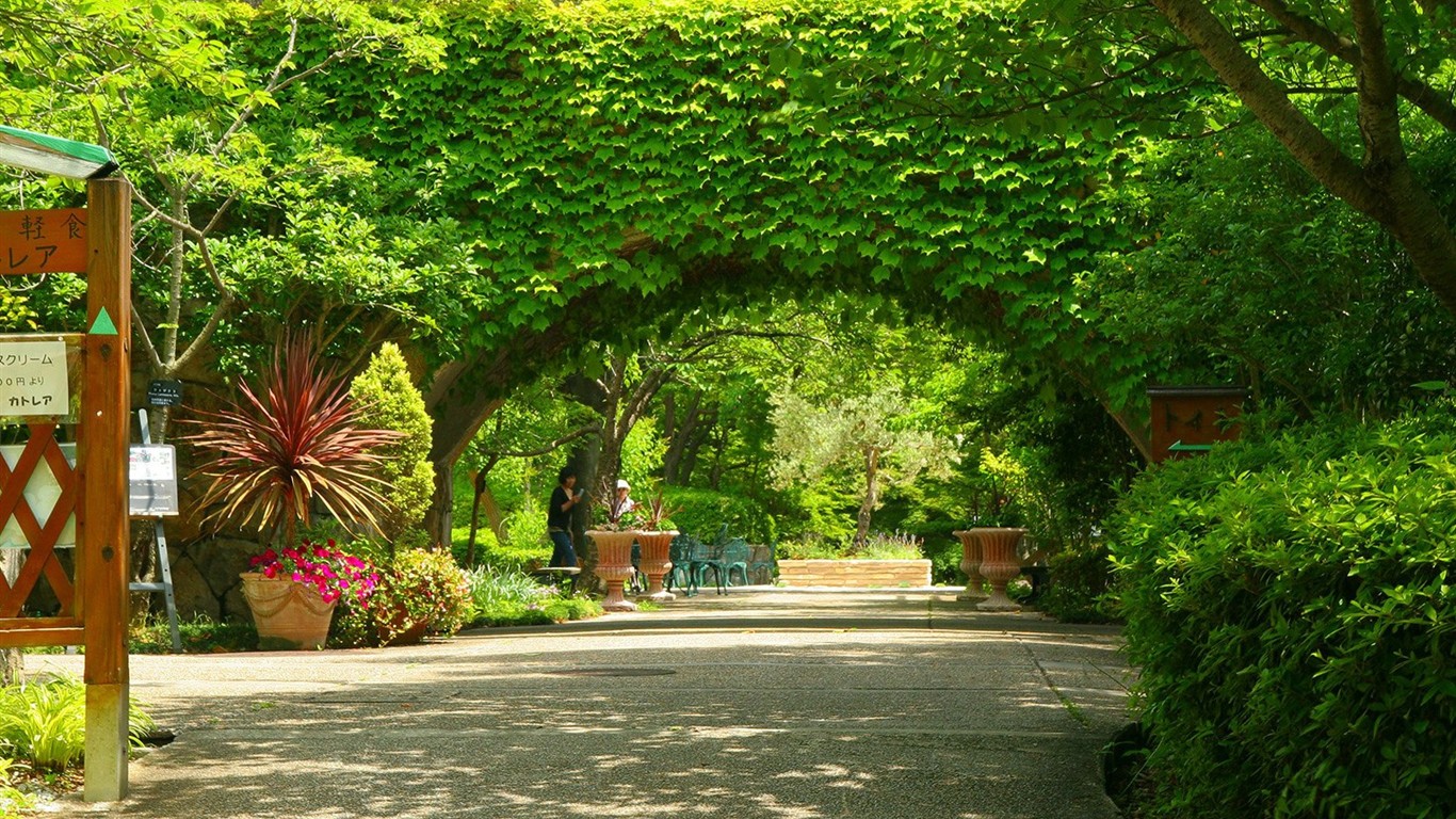 Parc beau fond d'écran #15 - 1366x768