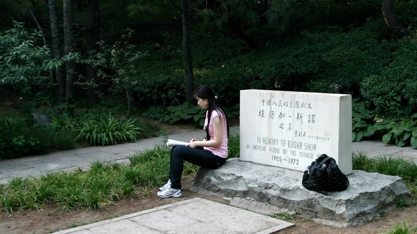 Glimpse of Peking University (Minghu Metasequoia works) #18 - 1366x768