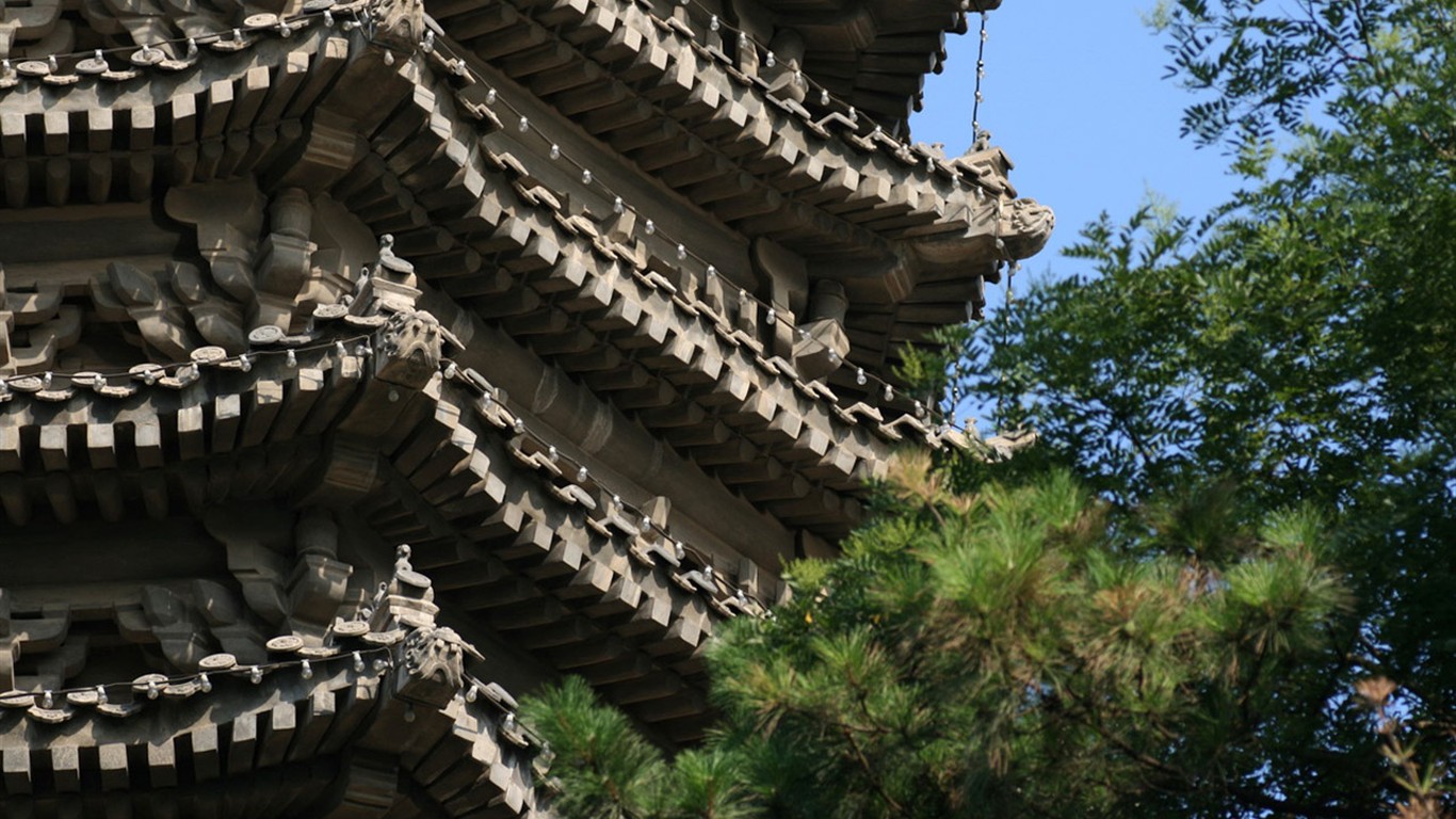 letmý pohled na Peking University (Minghu Metasequoia práce) #22 - 1366x768
