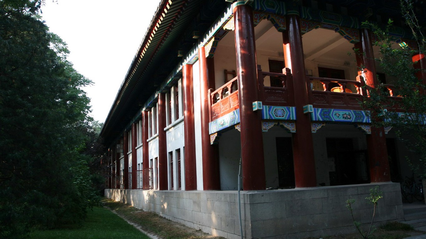 Glimpse of Peking University (Minghu Metasequoia works) #24 - 1366x768