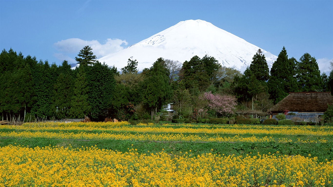 Fuji Krajina Tapety Album #36 - 1366x768
