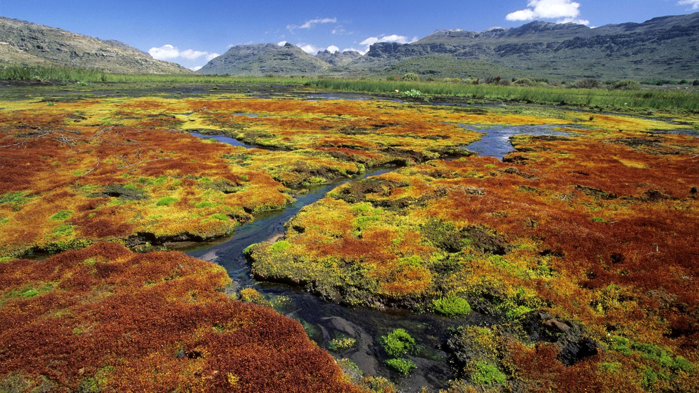 Four Seasons paysage fond d'écran (1) #19 - 1366x768