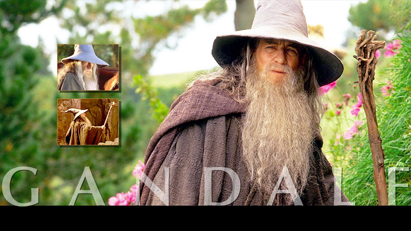 The Lord of the Rings 指环王5 - 1366x768