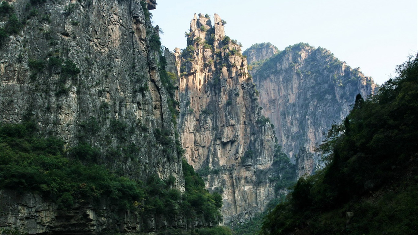Wir haben die Taihang Mountains (Minghu Metasequoia Werke) #6 - 1366x768