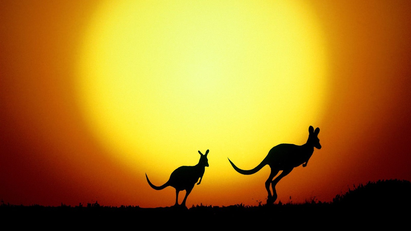 Vlastnosti nádherné scenérii Austrálie #18 - 1366x768