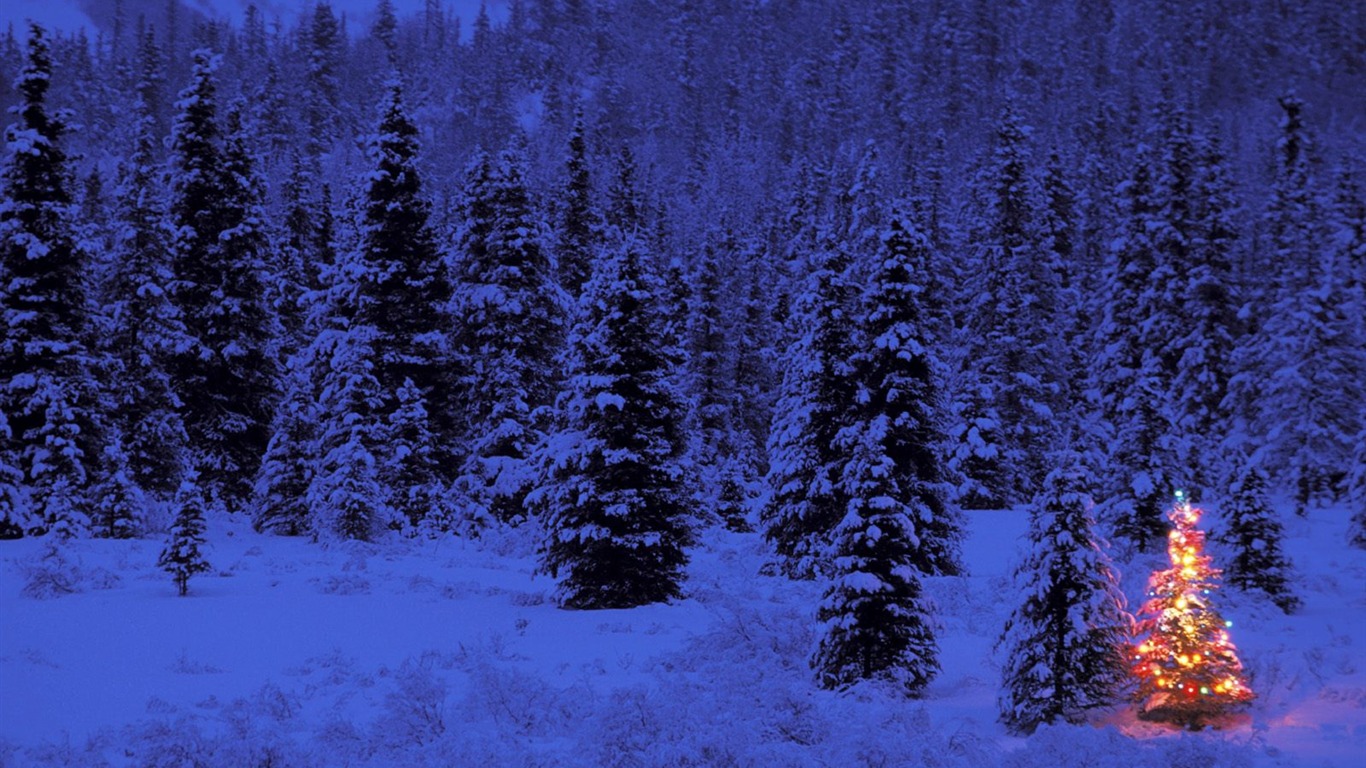 Fond d'écran de Noël série aménagement paysager (4) #3 - 1366x768