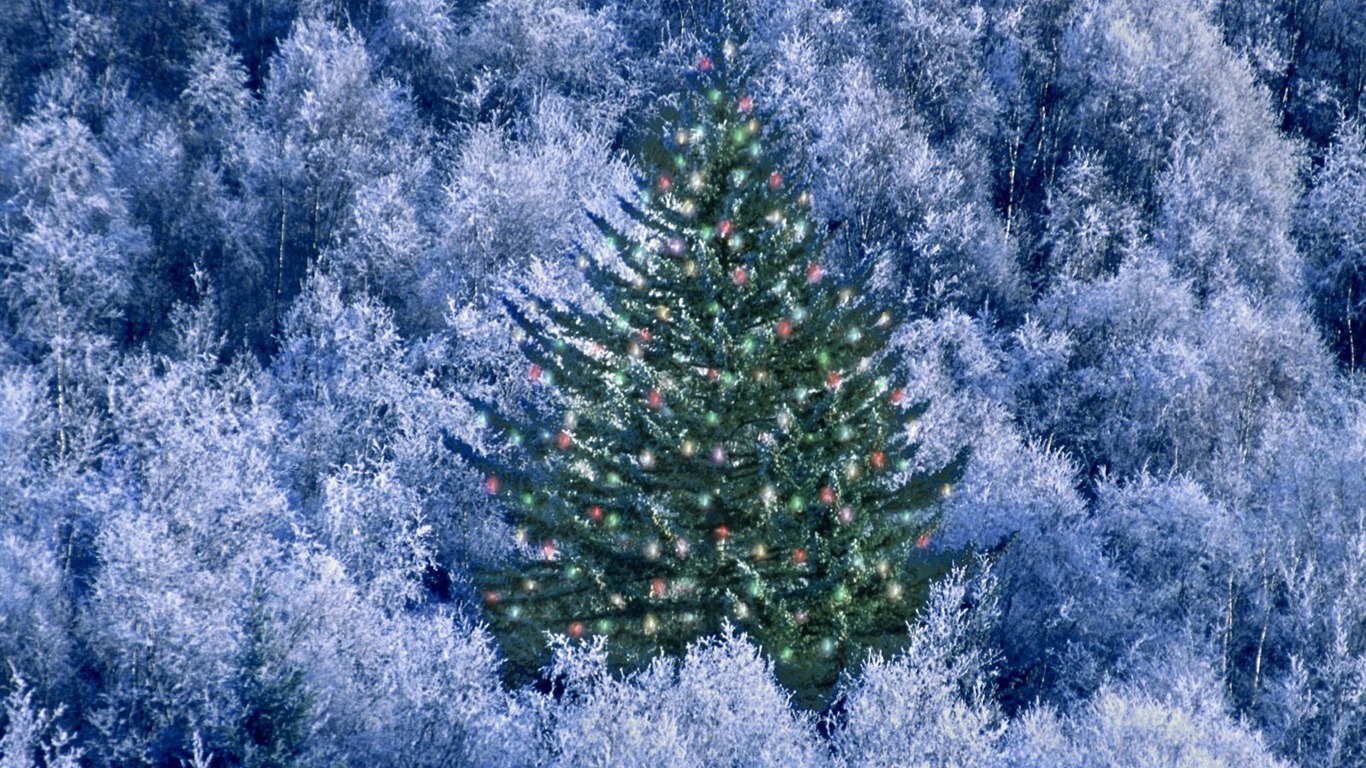Fond d'écran de Noël série aménagement paysager (4) #15 - 1366x768
