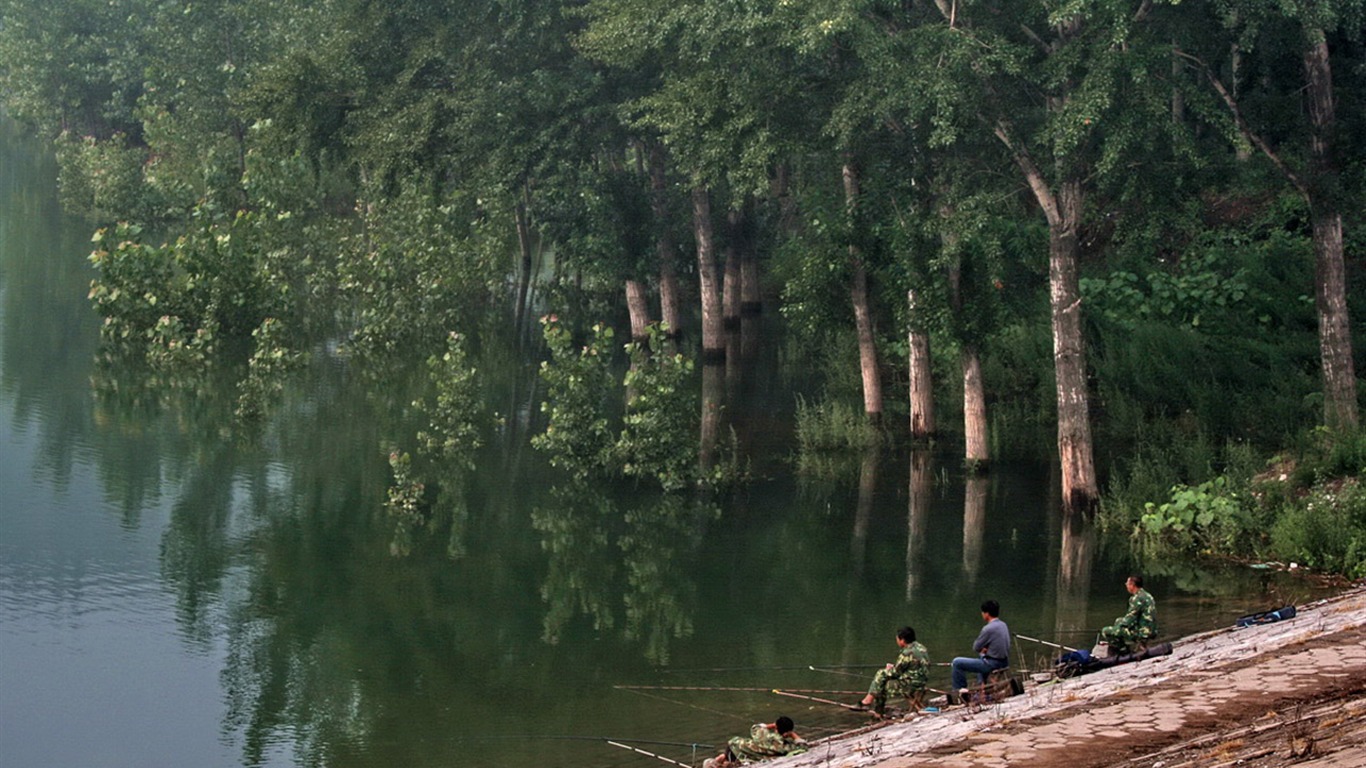 寫生基地印象 (明湖水杉作品) #4 - 1366x768