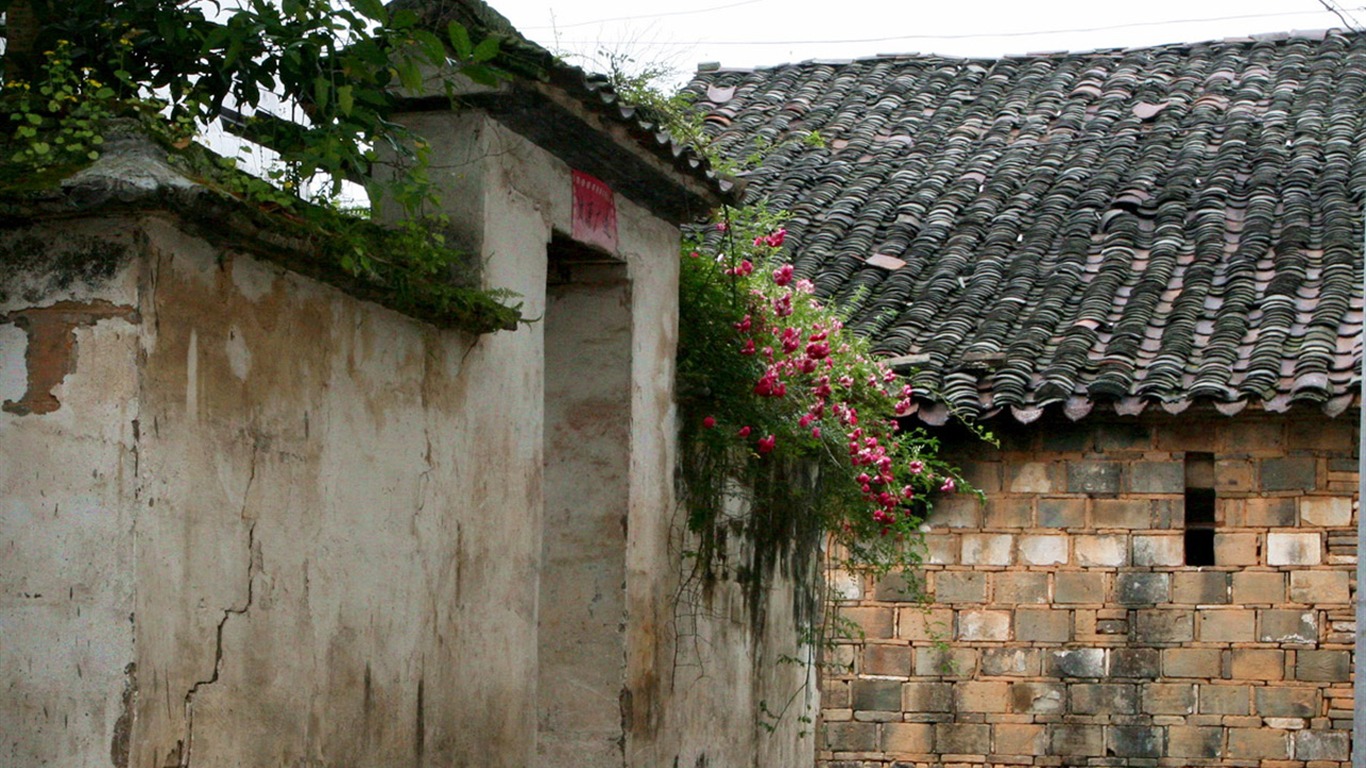 Wuyuan en la línea de la lluvia (Minghu obras Metasequoia) #16 - 1366x768