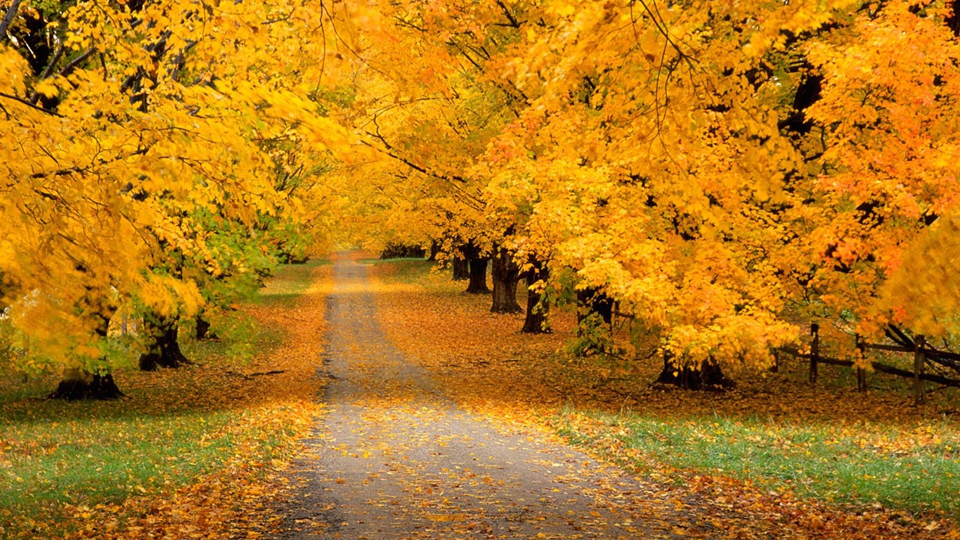 Podzimní krajina krásná tapeta #16 - 1366x768