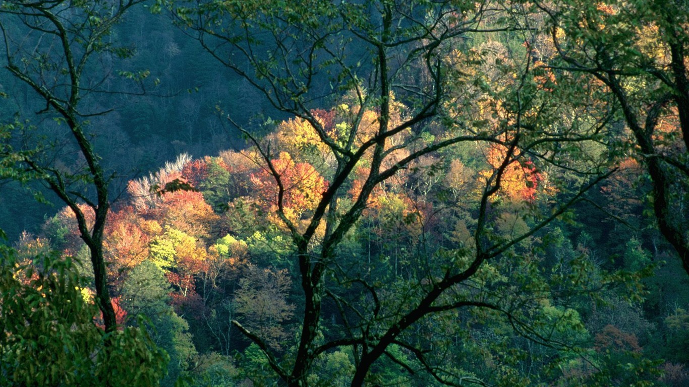 Herbstlandschaft schöne Tapete #22 - 1366x768