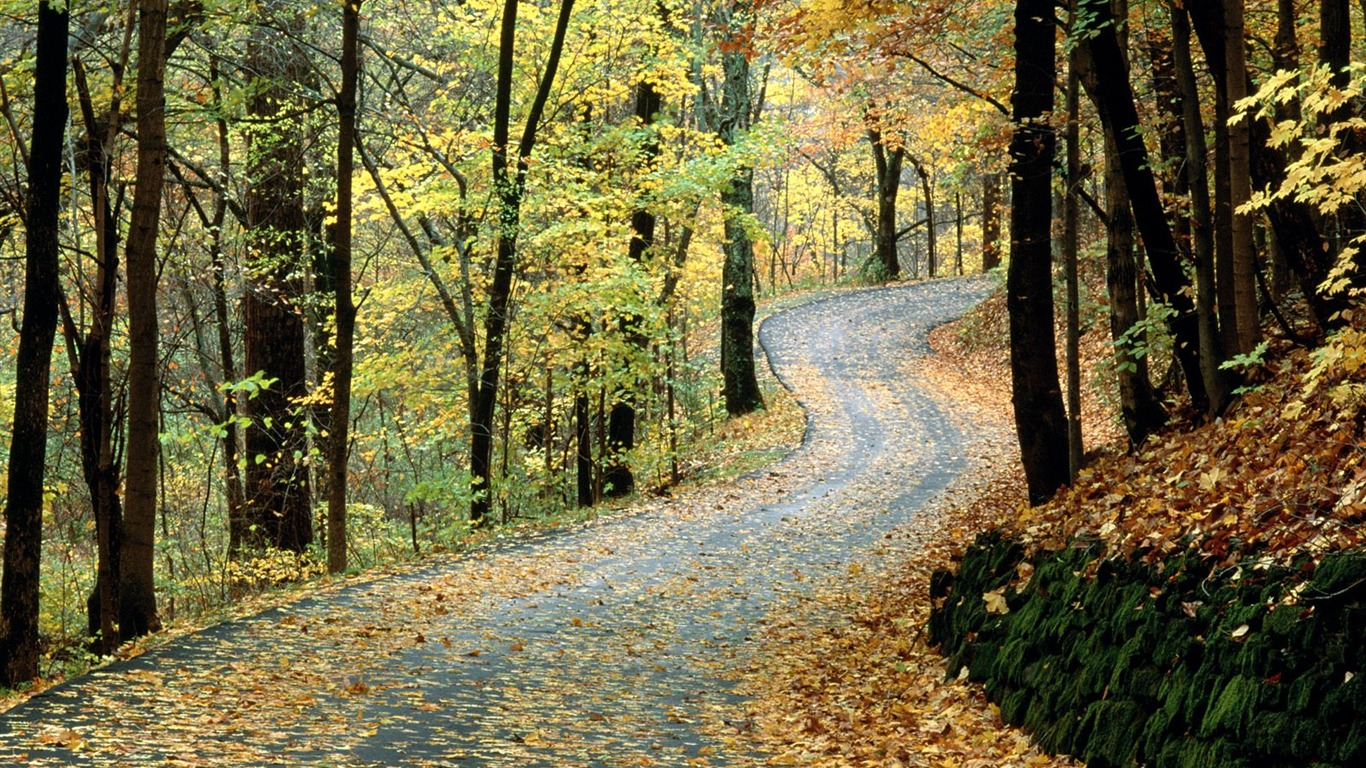 Herbstlandschaft schöne Tapete #23 - 1366x768