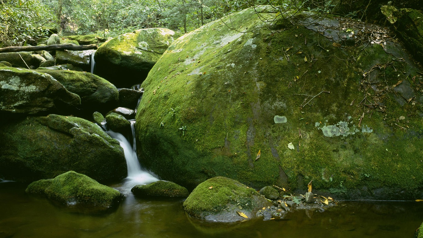 溪流河水高清壁纸10 - 1366x768