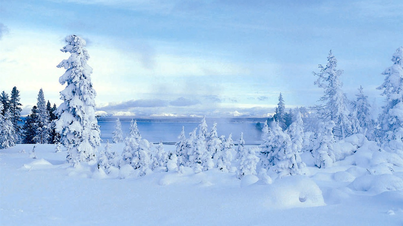  HDの壁紙クールな冬の雪景色 #33 - 1366x768