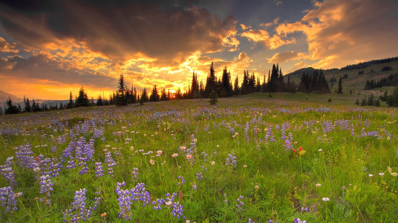 nádherné přírodní scenérie HD Tapety na plochu #30 - 1366x768