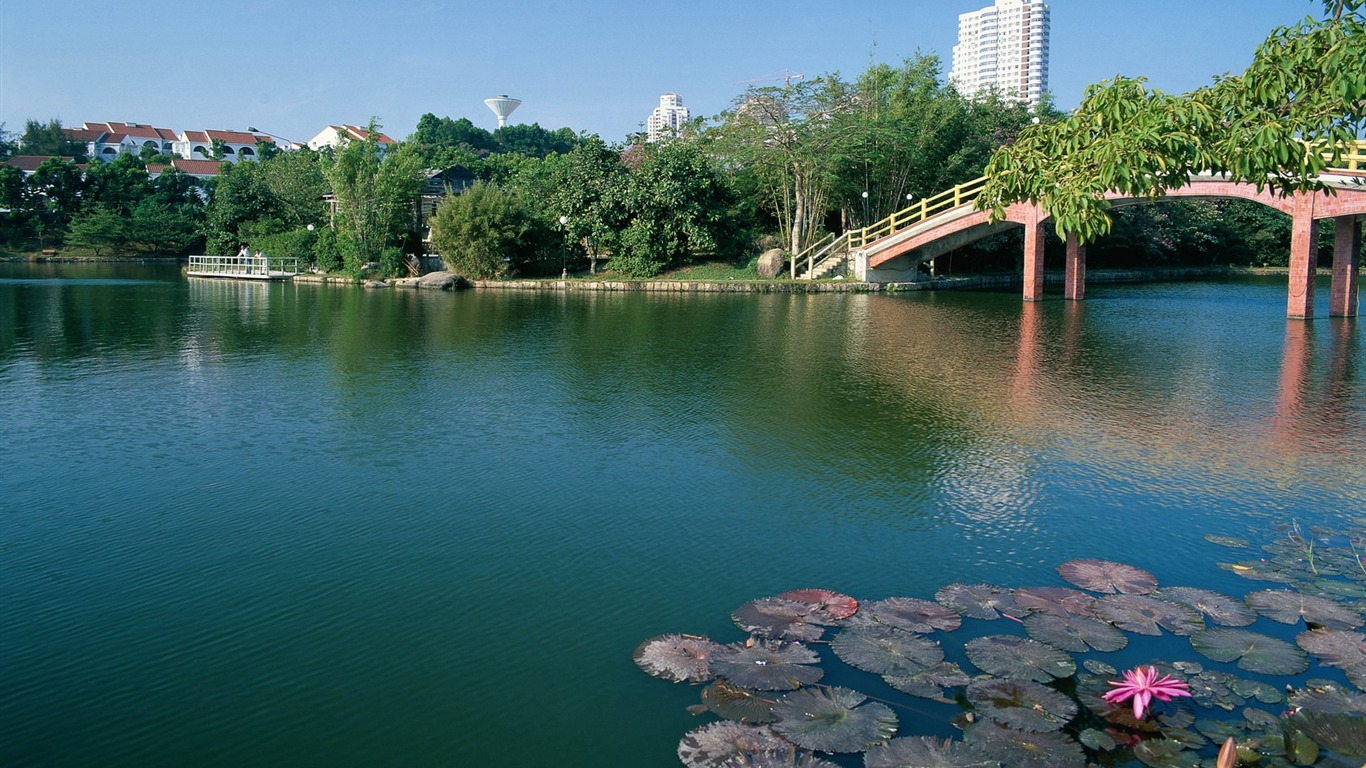 港湾风光宽屏壁纸9 - 1366x768