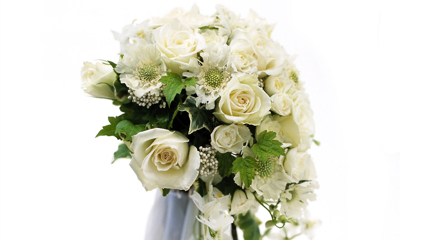 Свадебный цветок обручальное кольцо, обои (2) #10 - 1366x768