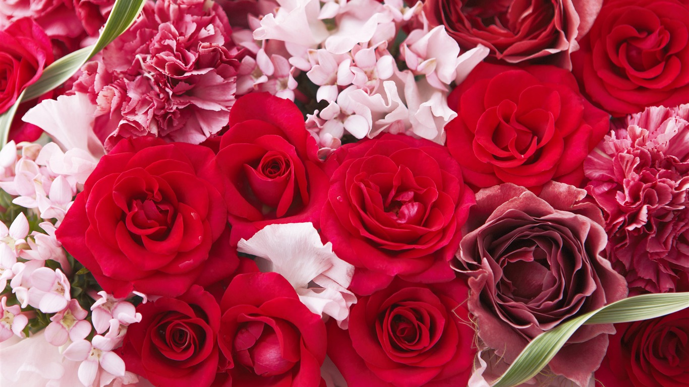 Flowers Gifts HD Wallpapers (1) #13 - 1366x768
