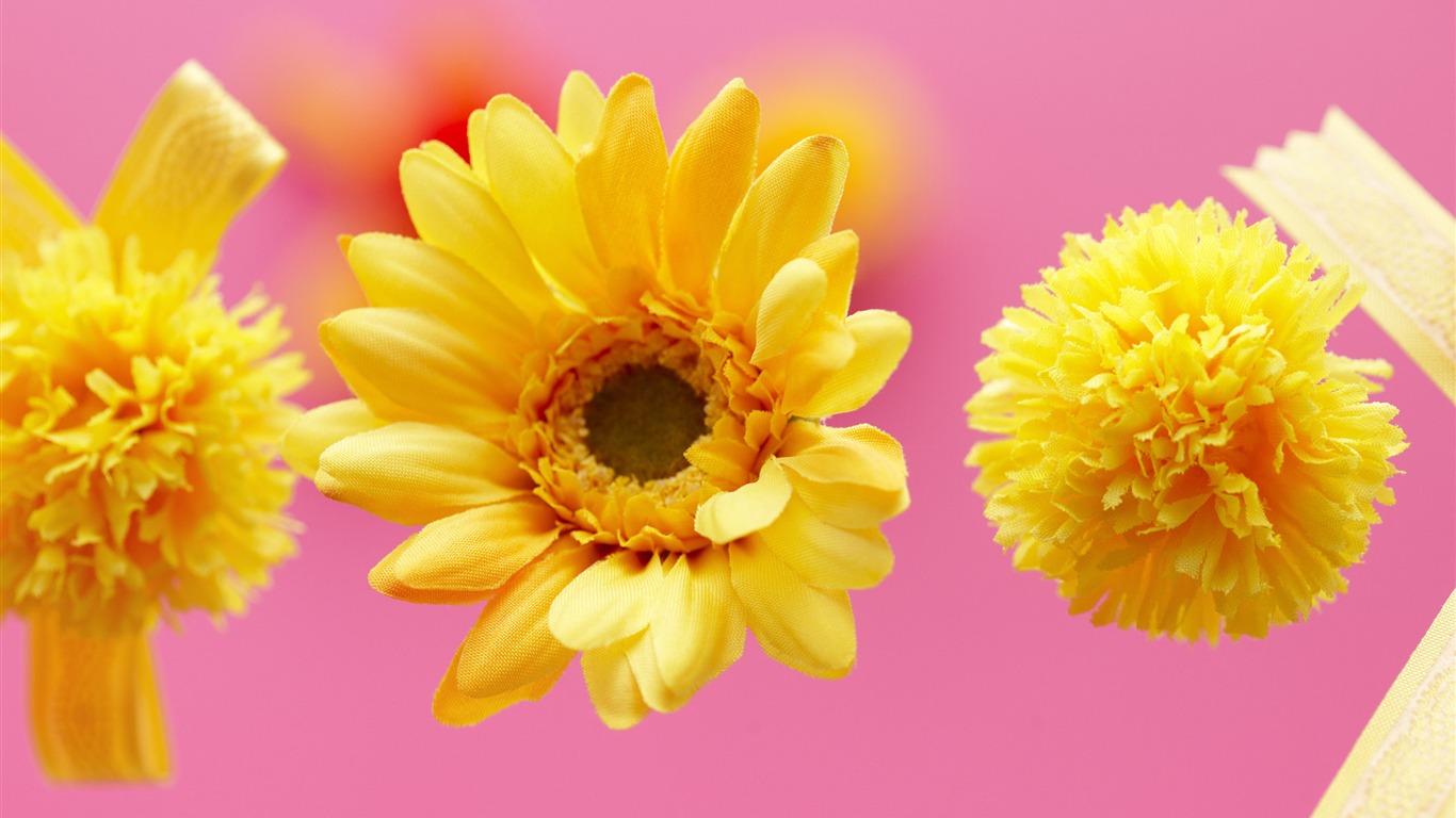 Flowers Gifts HD Wallpapers (2) #15 - 1366x768