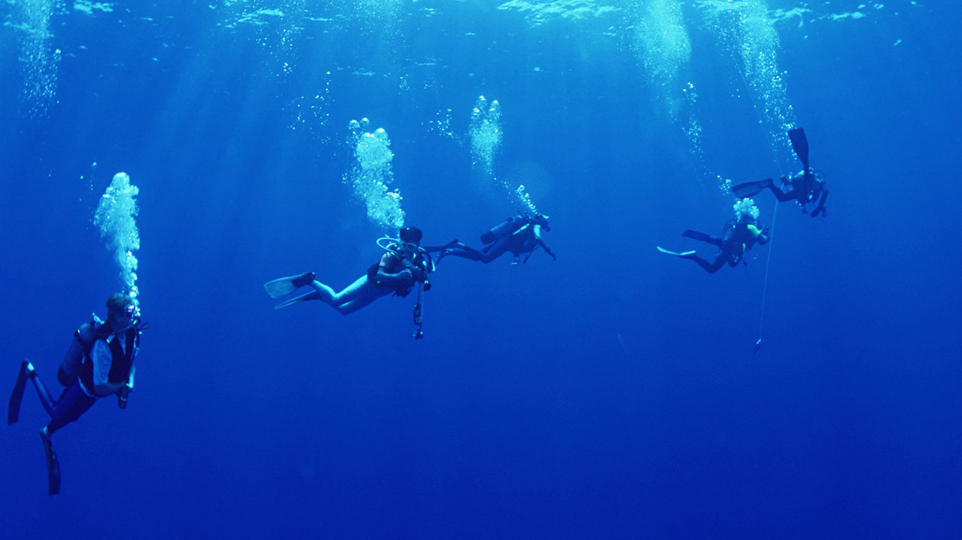 深蓝海底世界壁纸2 - 1366x768
