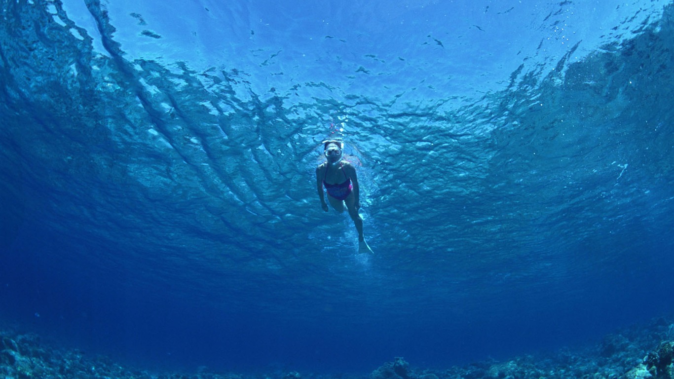 Deep Blue Underwater World Wallpaper #27 - 1366x768