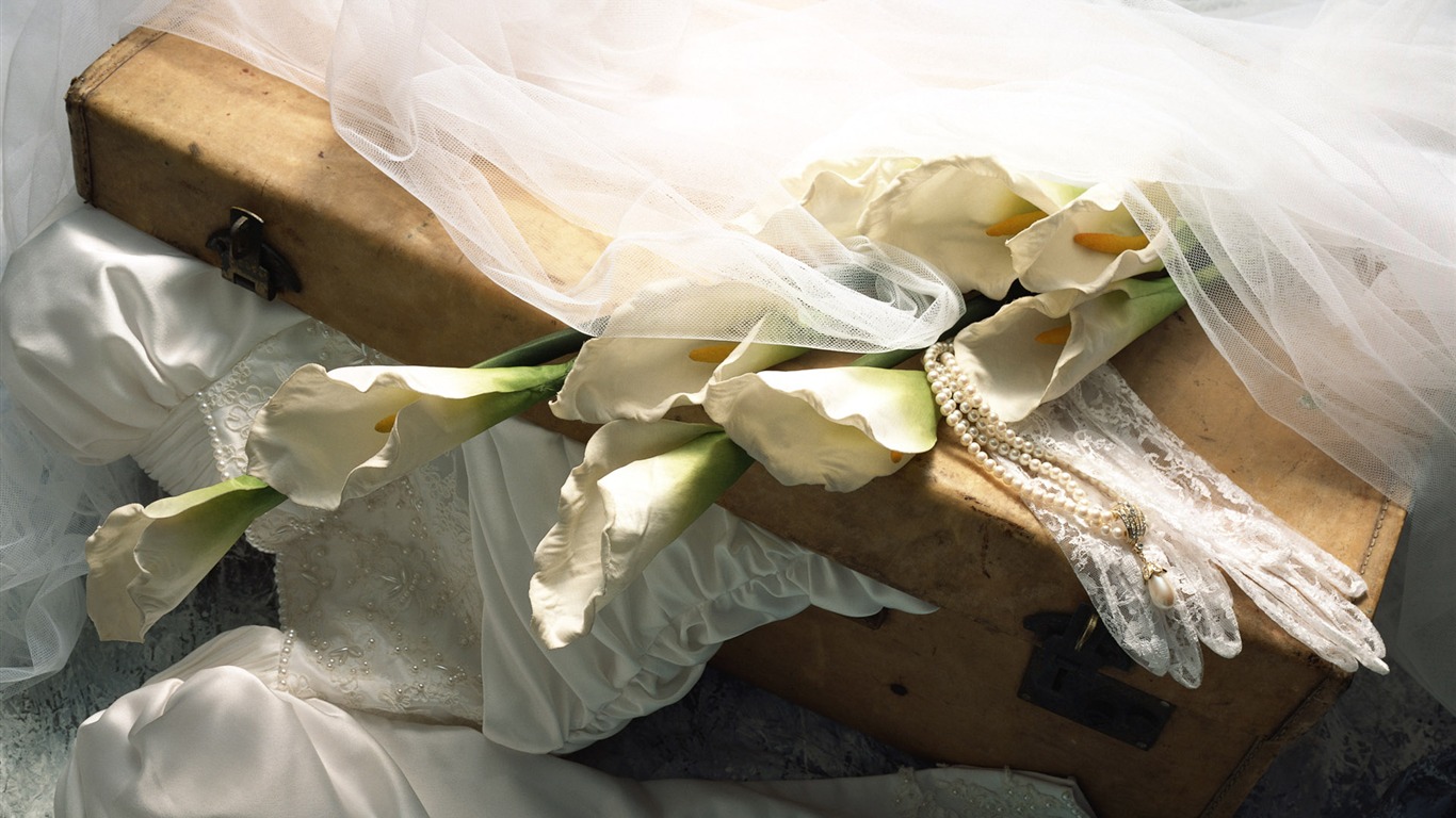結婚式の花の商品壁紙(2) #12 - 1366x768