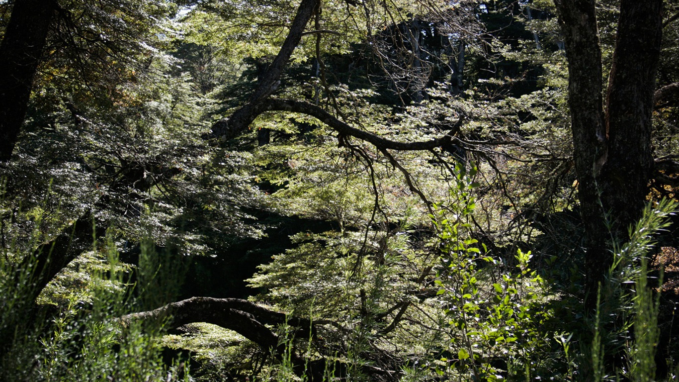 Patagonia přírodní scenérie Tapeta #8 - 1366x768