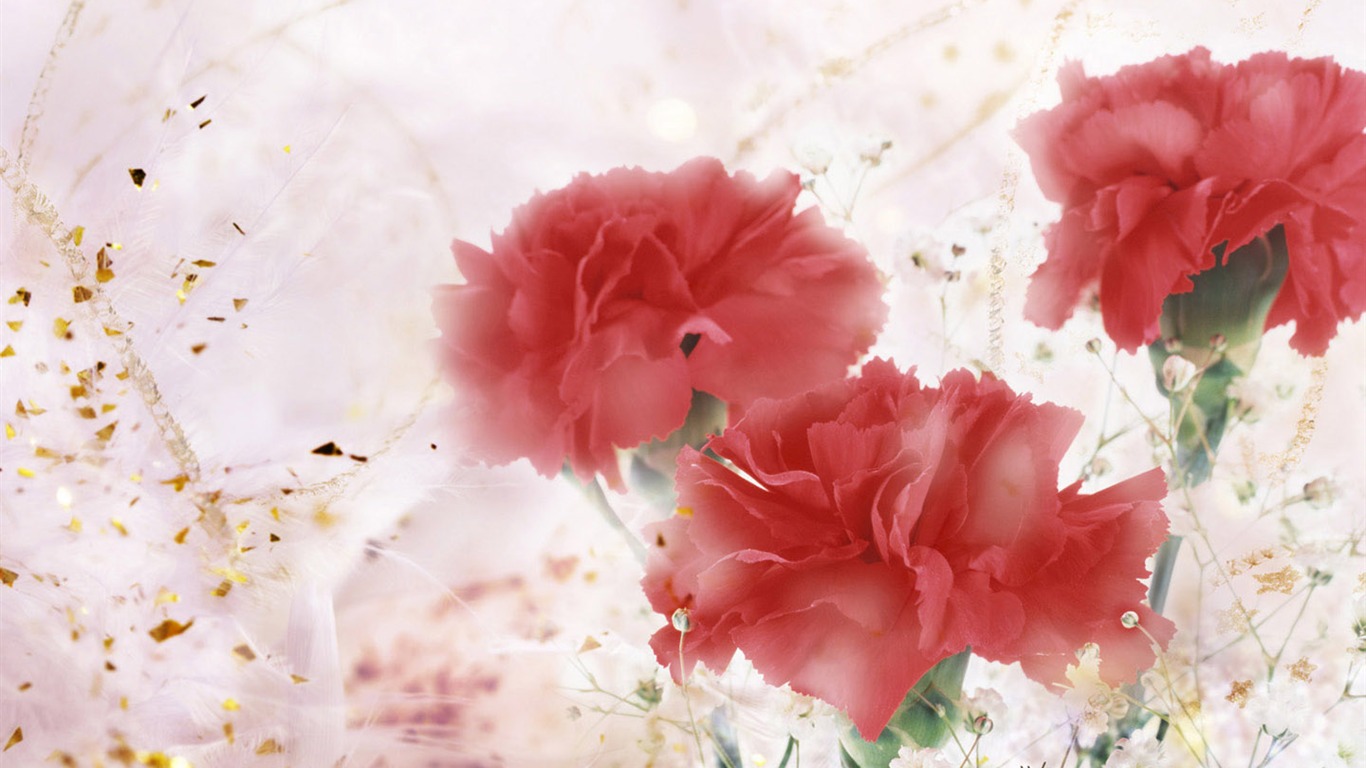 Mother's Day of the carnation wallpaper albums #24 - 1366x768