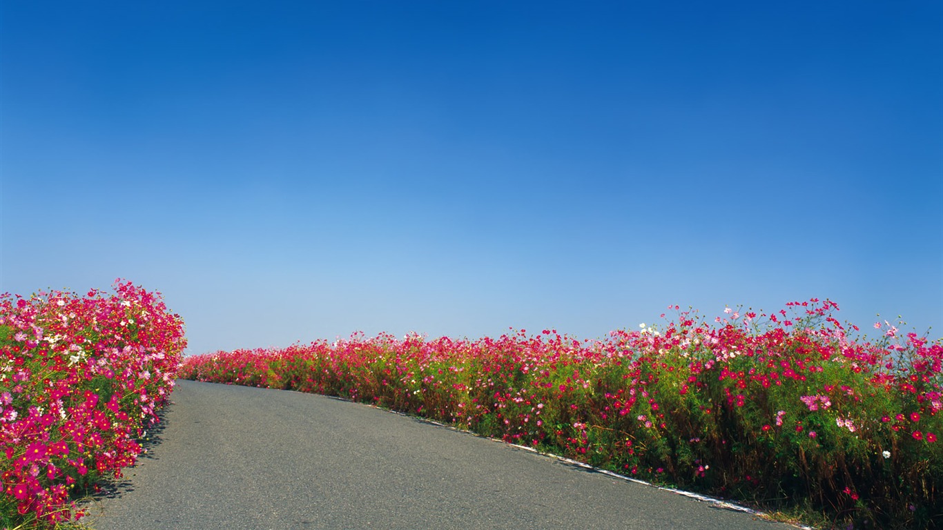 道路寫真壁紙 #19 - 1366x768