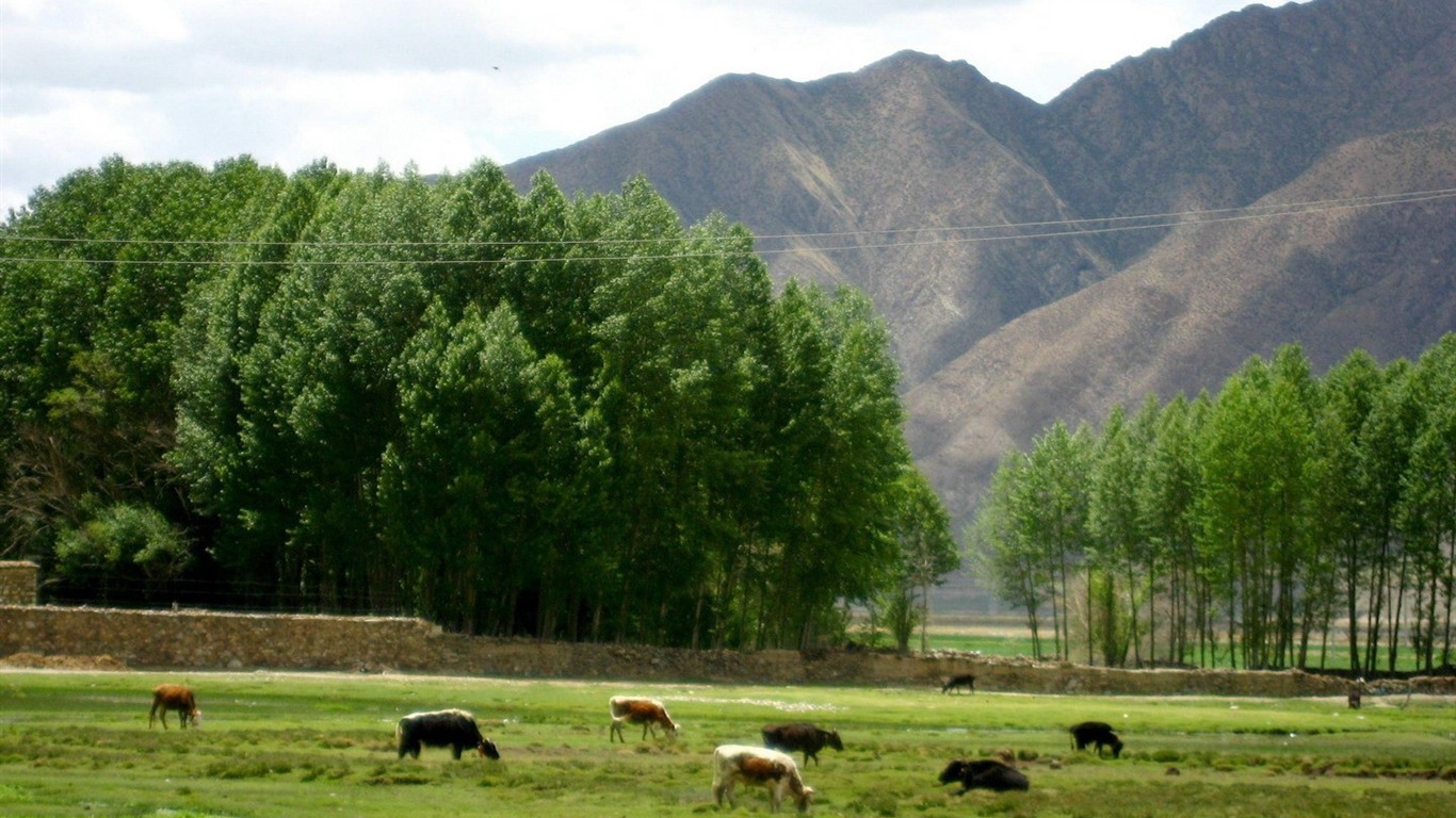 Tibet Landschaft Tapeten Alben #13 - 1366x768