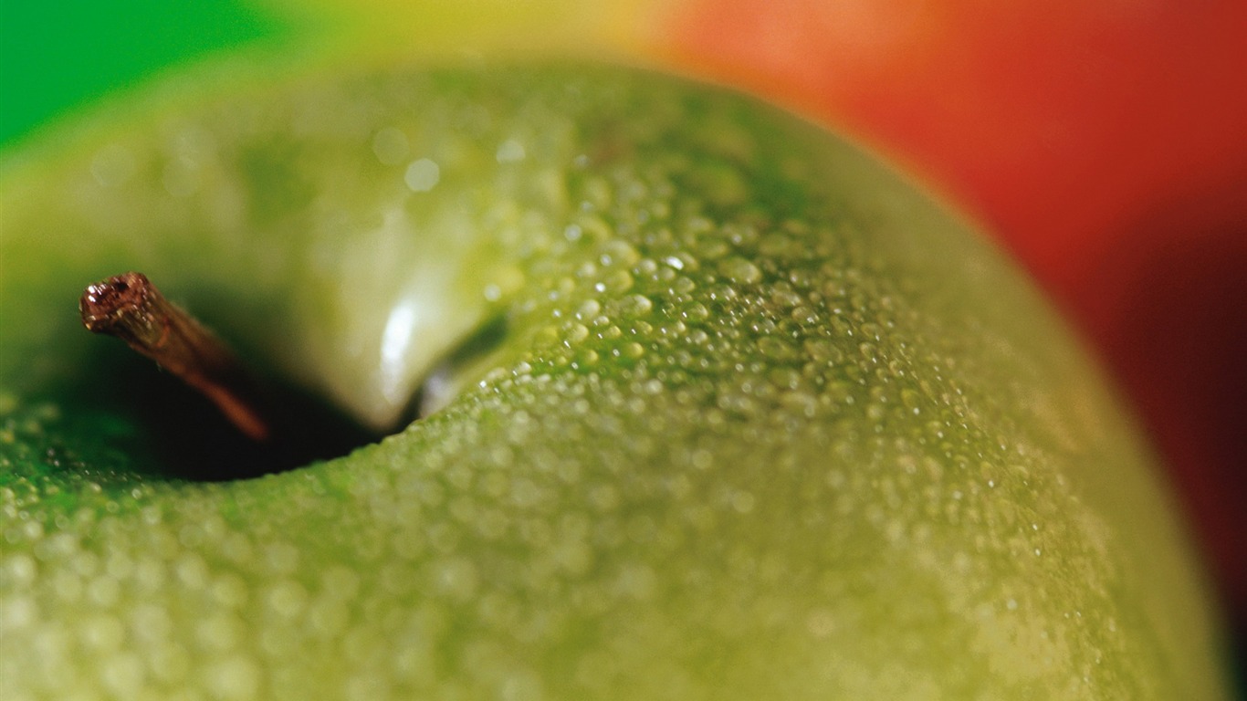 Fruit fonds d'écran photo shoot #10 - 1366x768