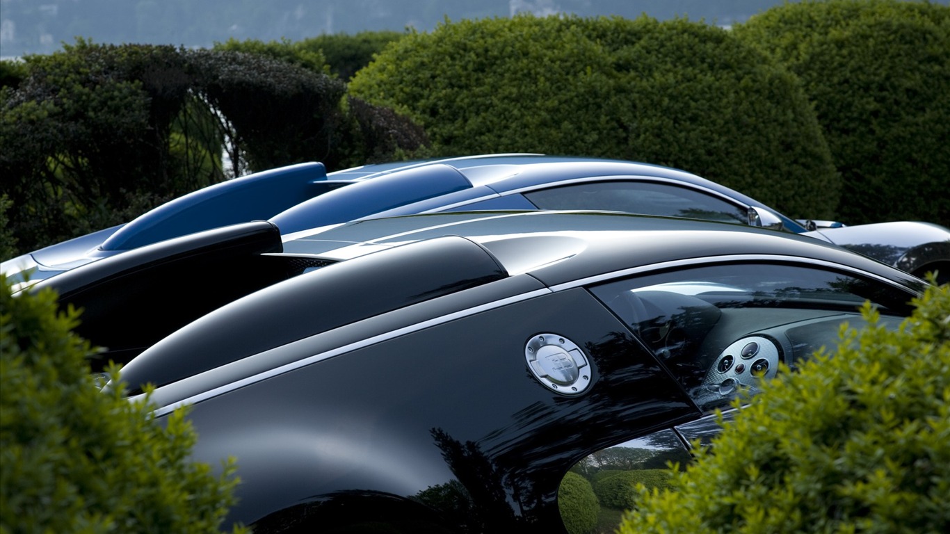 Bugatti Veyron Wallpaper Album (2) #16 - 1366x768