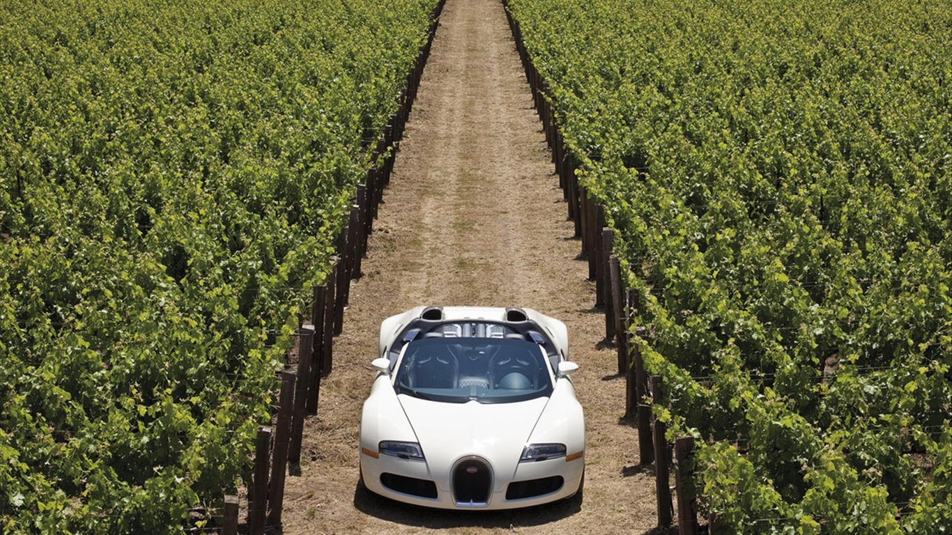 Bugatti Veyron обои Альбом (3) #3 - 1366x768