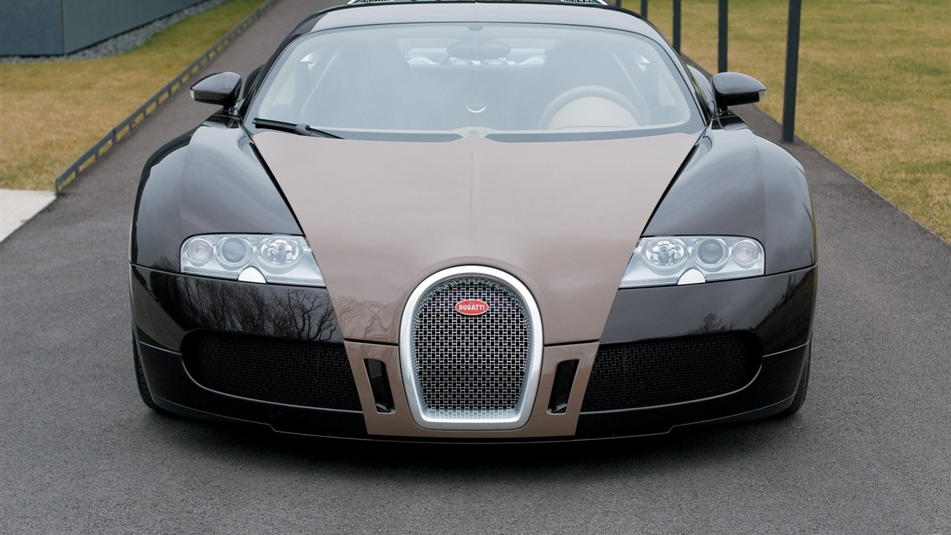 Bugatti Veyron обои Альбом (3) #8 - 1366x768