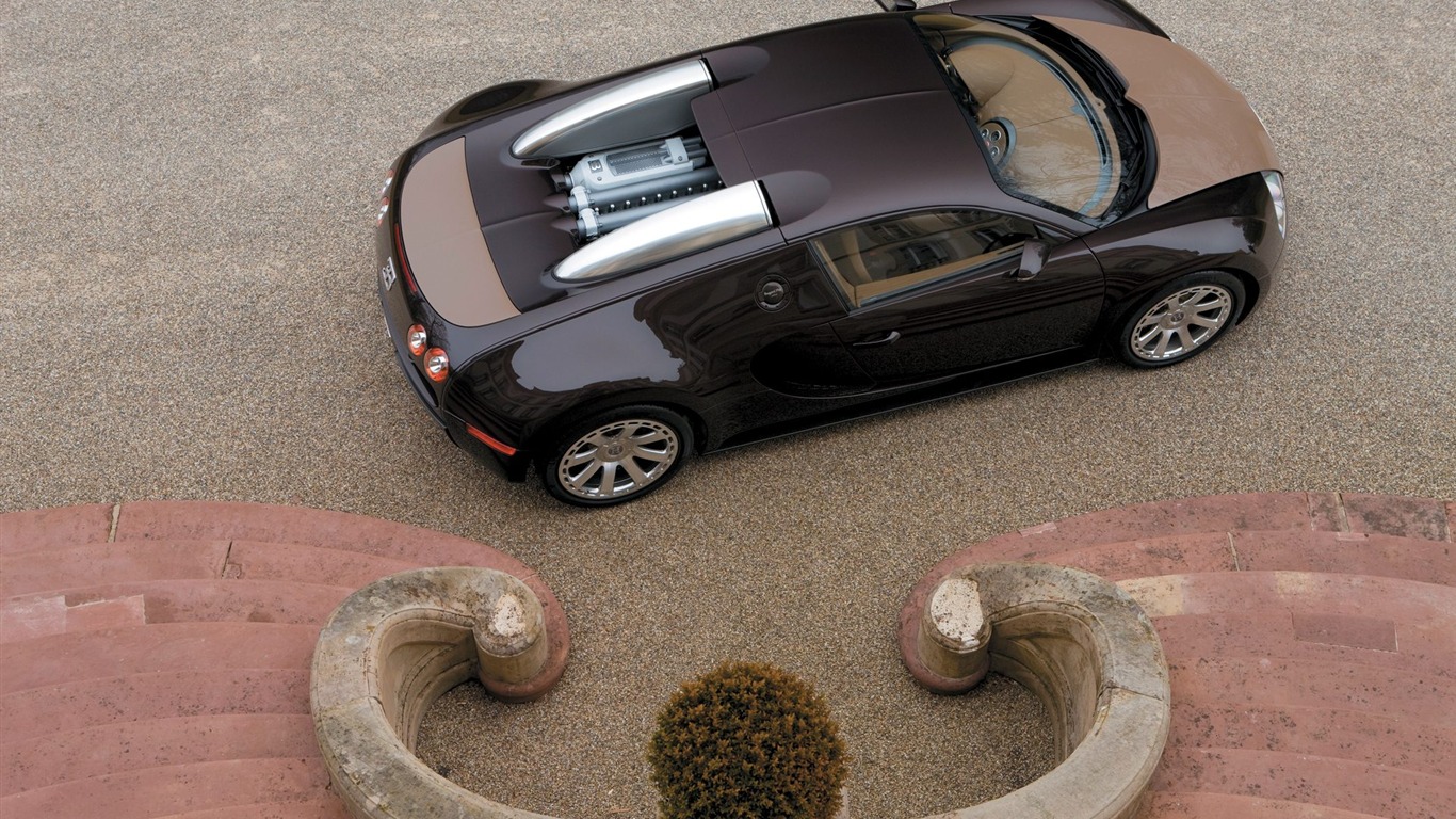 Bugatti Veyron обои Альбом (3) #11 - 1366x768