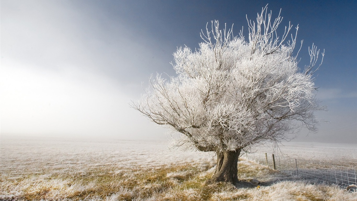 Nový Zéland je malebné krajině wallpaper #2 - 1366x768