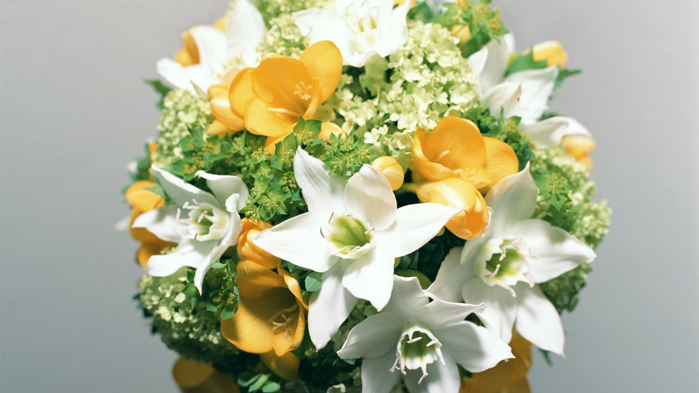 Flowers Widescreen Wallpaper #7 - 1366x768